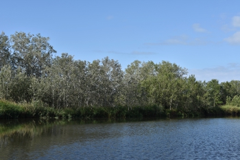 Estanque L'Olla del Rei