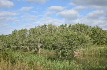 Estanque L'Olla del Rei