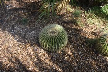 Jardines de Mosen Costa Llobera