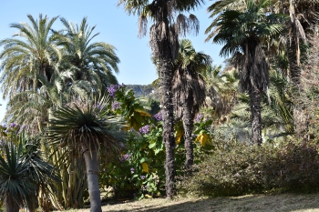 Jardines de Mosen Costa Llobera