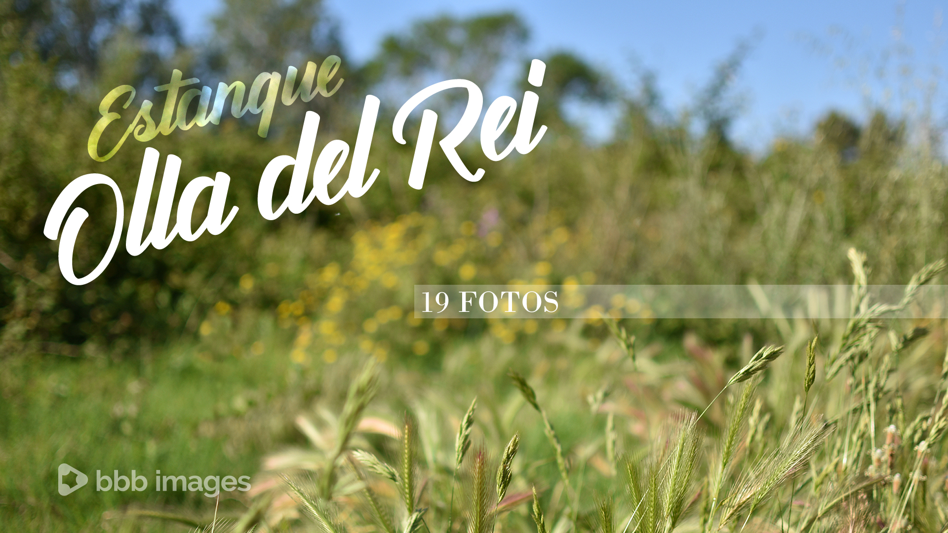 Estanque L'Olla del Rei